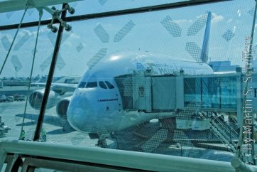 Airbus A380 at the Airport of Dubai