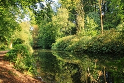 Alsterlauf perfektes Spiegelbild 1