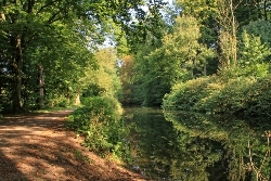 Alsterlauf perfektes Spiegelbild 2