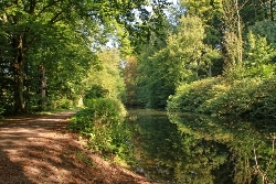 Alsterlauf perfektes Spiegelbild 3