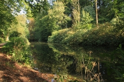 Alsterlauf perfektes Spiegelbild 4