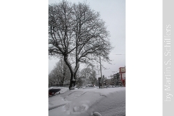 Hamburg im Schnee