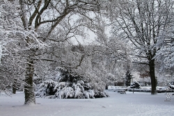 Hamburger Sstadtpark im Schnee Bild 2