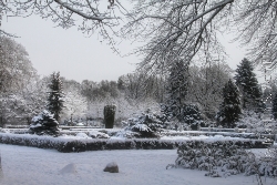 Hamburger Sstadtpark im Schnee Bild 3