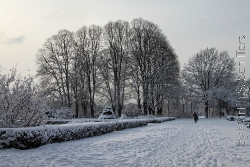 Hamburger Sstadtpark im Schnee Bild 4