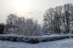 Hamburger Sstadtpark im Schnee Bild 5