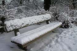 Verschneite Parkbank im Stadtpark Bild 1
