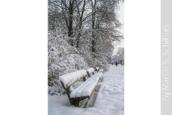 Verschneite Parkbank im Stadtpark Bild 2