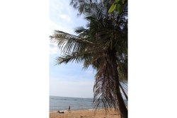Jomtien Bild 4