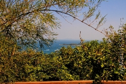 Koh Larn Blick durch die Büsche auf das Meer Bild 1