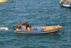 Koh Larn Fischerboot mit Aussenborder Bild 2
