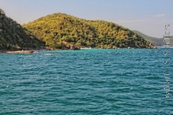 Koh Larn Felsen an der Küste Bild 2
