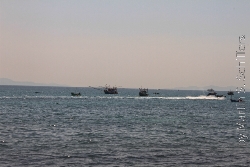 Koh Larn Motor Scooter