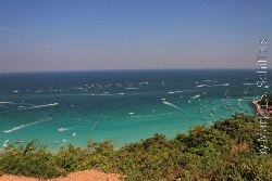 Koh Larn Bucht voller Boote Bild 1
