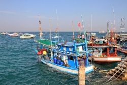 Koh Larn  Fischerboote im Hafen