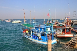 Koh Larn  Fischerboote im Hafen