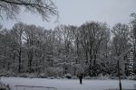 Fotos Hamburger Stadtpark im Schnee