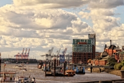 Hamburg - Altonaer Fischmarkt Bild 3